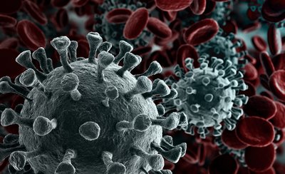 Corona-Virus, Foto: Adobe Stock/Creativenko Corona-Virus, Foto: AdobeStock/Creativenko